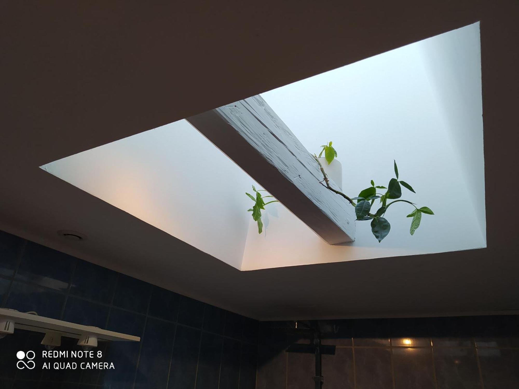 Gite Calme 4 Chambres, Terrasse Privative, Draps Inclus - Germonville - Fr-1-584-167 Ngoại thất bức ảnh